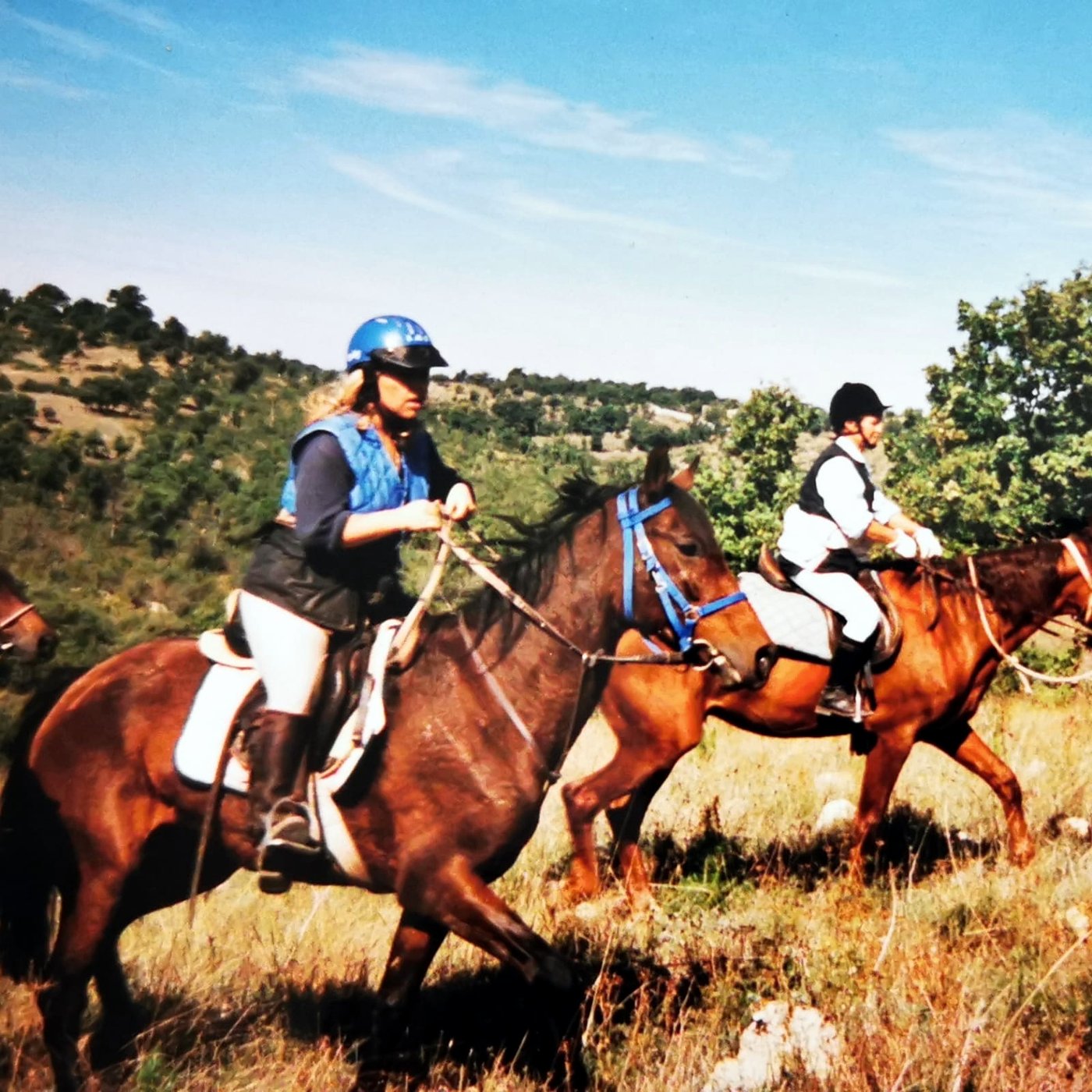 Antonella in gara di endurance con il casco blu, in sella a un cavallo baio