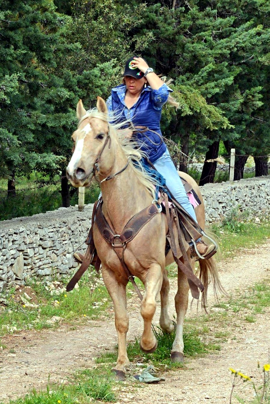 Antonella Urbano in sella a un cavallo palomino lungo un sentiero tra i muretti a secco