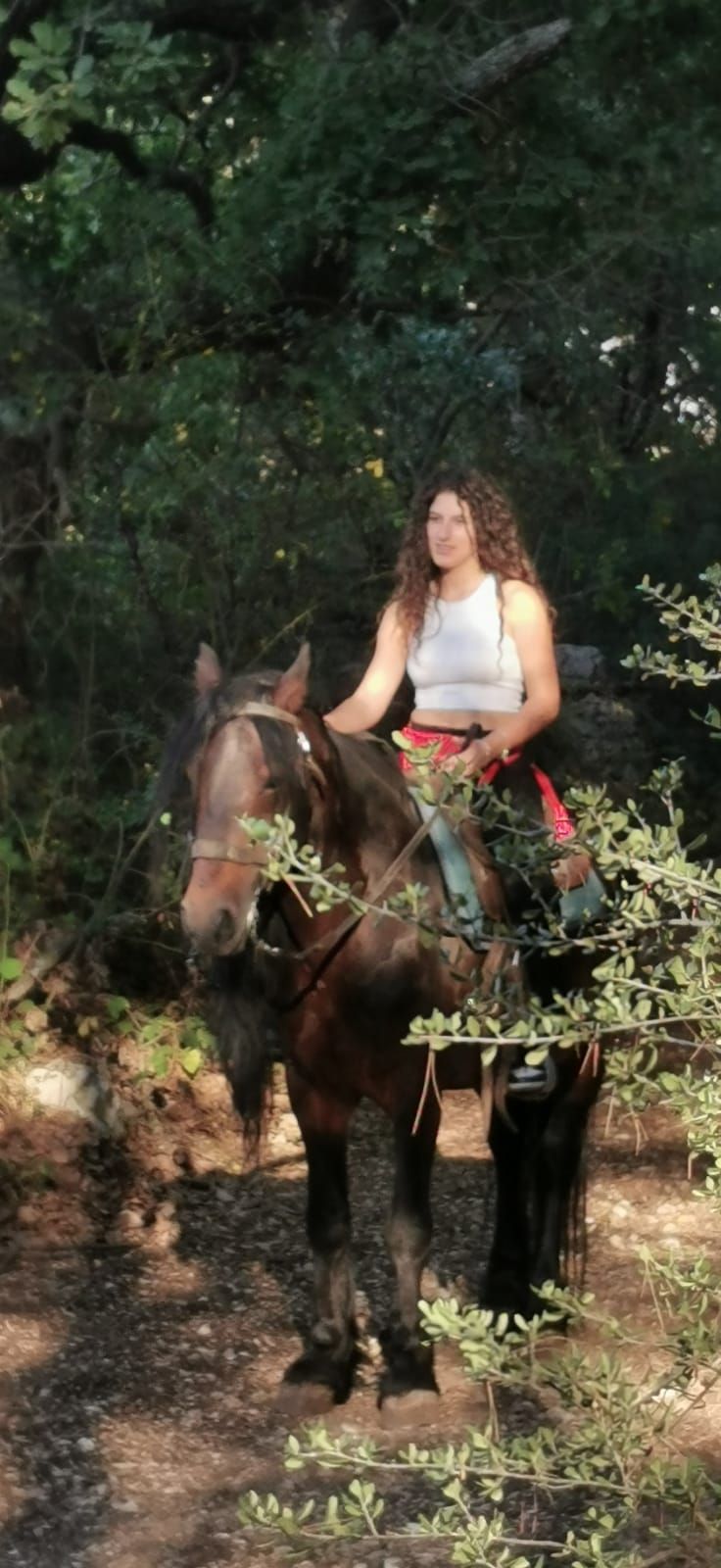 Amazzone su cavallo baio nel bosco