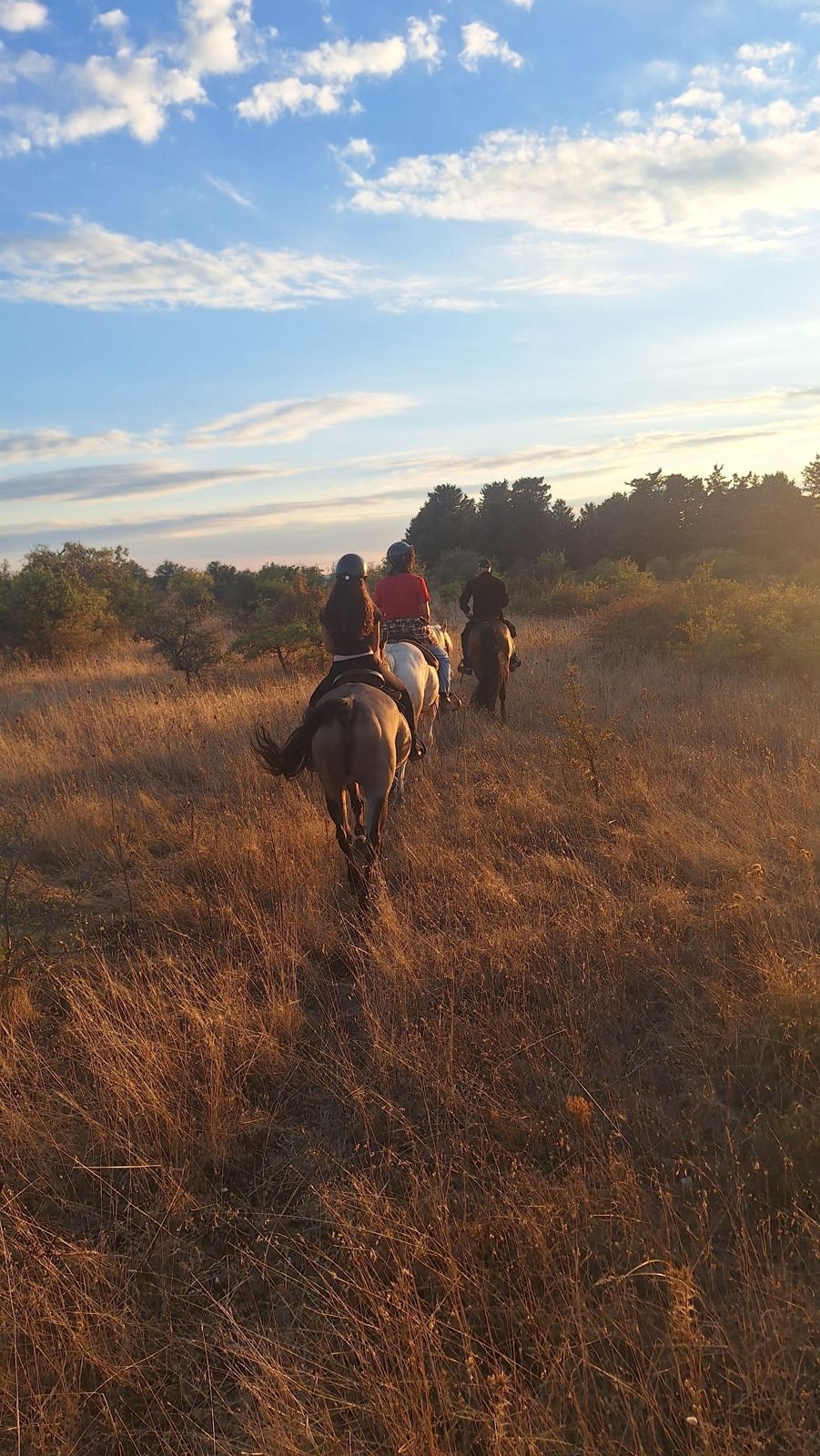 Cavalieri in fila in un campo dorato