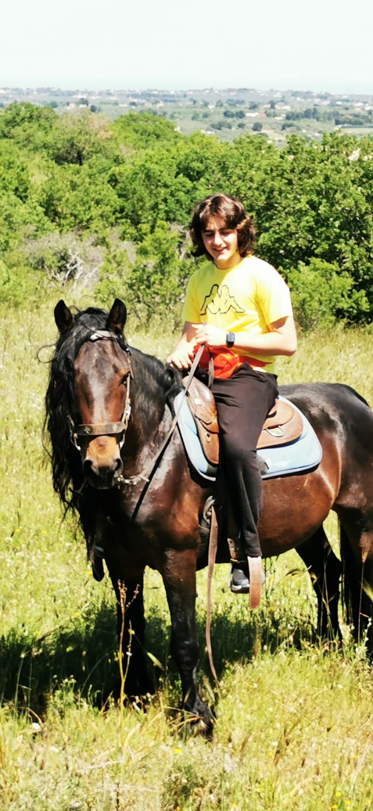 Ragazzo su cavallo baio in un prato