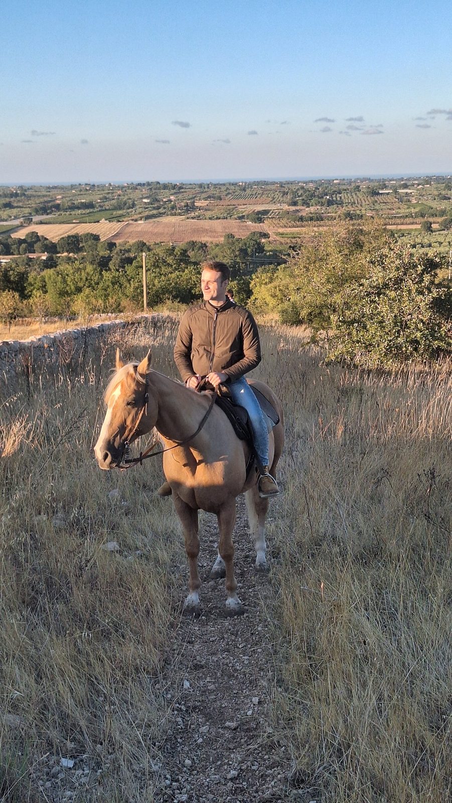 Cavaliere su cavallo palomino con la campagna sullo sfondo