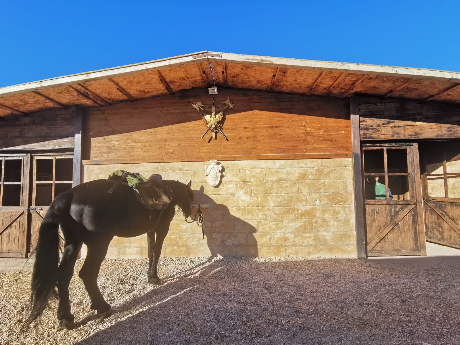 Cavallo nero sellato davanti alle scuderie in legno